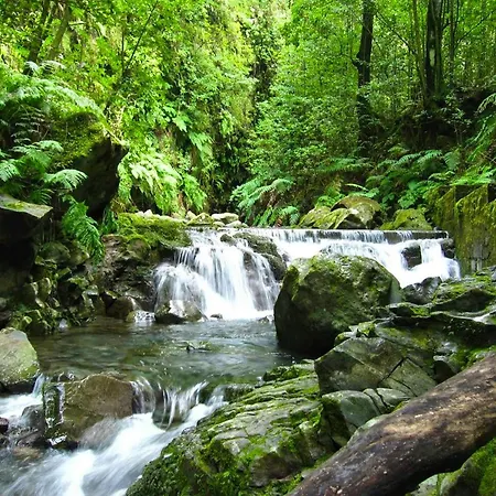 Spacious House In With Terrace And Parking Included * Santana (Madeira)